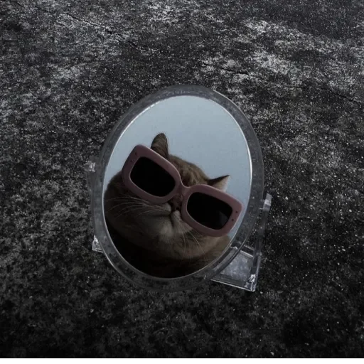 ground outdoor spectacles