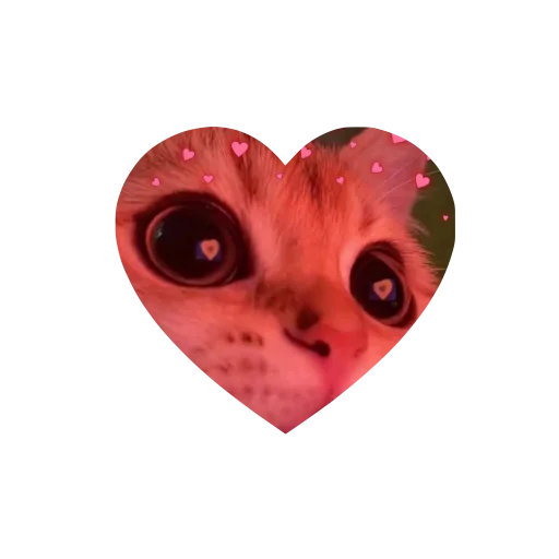 💗kitties love 💗      @iamideas @iamstockroom @TgEmojis_bot - 