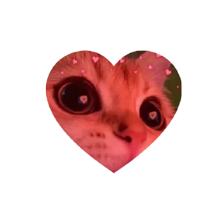 Sticker 💗kitties love 💗      @iamideas @iamstockroom @TgEmojis_bot - 6