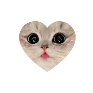 Sticker 💗kitties love 💗      @iamideas @iamstockroom @TgEmojis_bot - 8