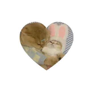 Sticker 💗kitties love 💗      @iamideas @iamstockroom @TgEmojis_bot - 0