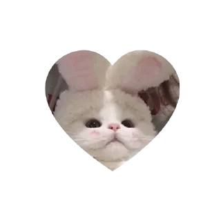 Стикер Котики в сердечках • @TgStickery - 1