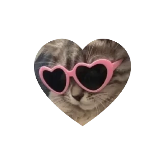 Стикер Котики в сердечках • @TgStickery - 9