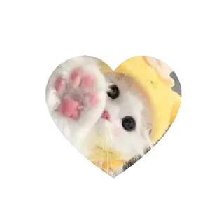 Стикер Котики в сердечках • @TgStickery - 10