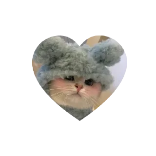 Стикер Котики в сердечках • @TgStickery - 5