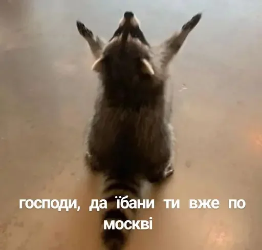 Sticker kittumamymav? - 0