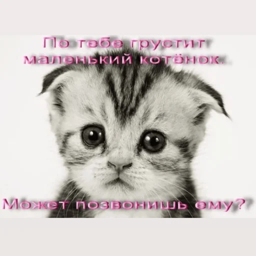 Стикер для няшек - 5