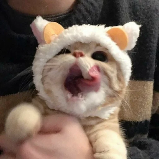 Стикер kitty999 - 1