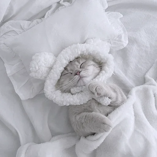 Стикер kitty_mori - 1