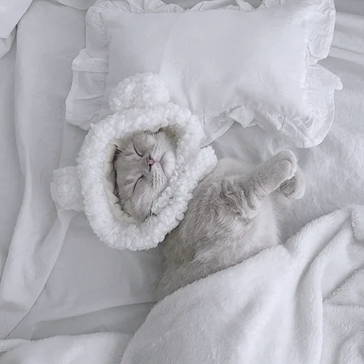 Sticker kitty_mori - 1