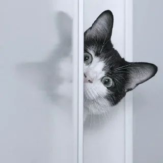 Sticker ✦ by @noiromori ✦ - 2