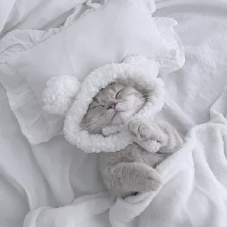 Sticker ✦ by @noiromori ✦ - 1