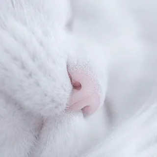 Sticker ✦ by @noiromori ✦ - 9