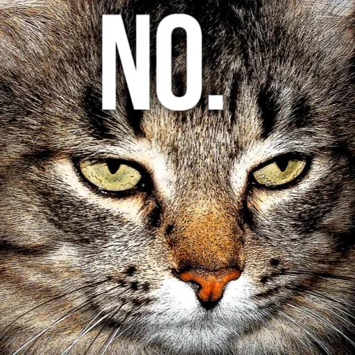 Sticker kittydogs_by_Stickerevobot - 1