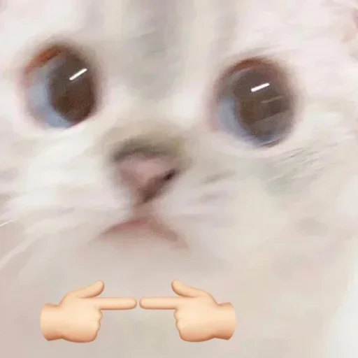 Sticker kittydogs_by_Stickerevobot - 1