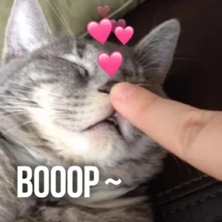 Sticker Больше стикеров тут: @stickers_memy - 4