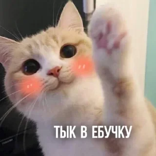 Sticker Больше стикеров тут: @stickers_memy - 5