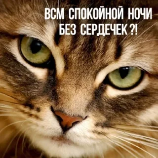 Sticker Больше стикеров тут: @stickers_memy - 11