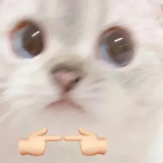 Sticker Больше стикеров тут: @stickers_memy - 6