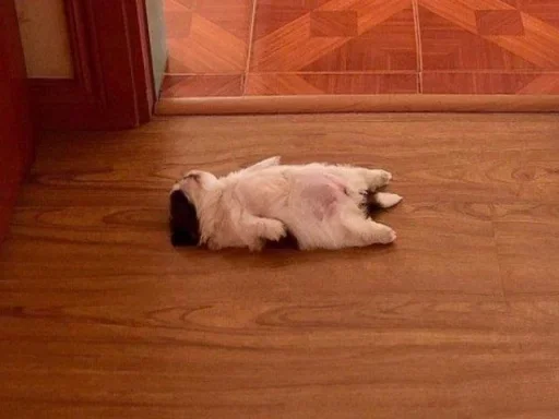 комнатный этаж настил