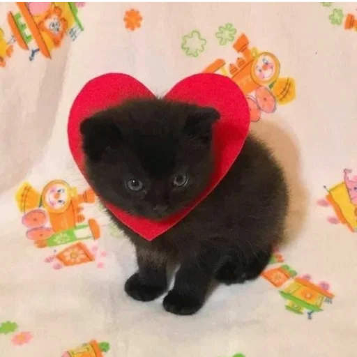 Sticker kittymeowuwuuu - 1