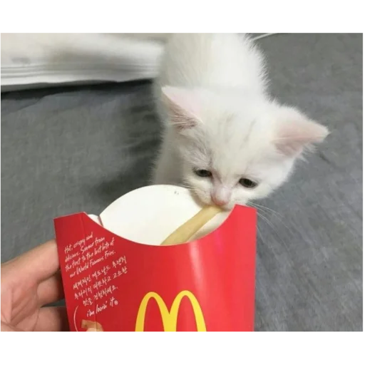 Sticker kittymeowuwuuu - 1