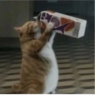 Стикер котики няшки💋 - 0