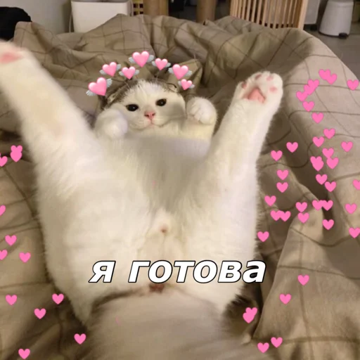 Sticker котятки - 9