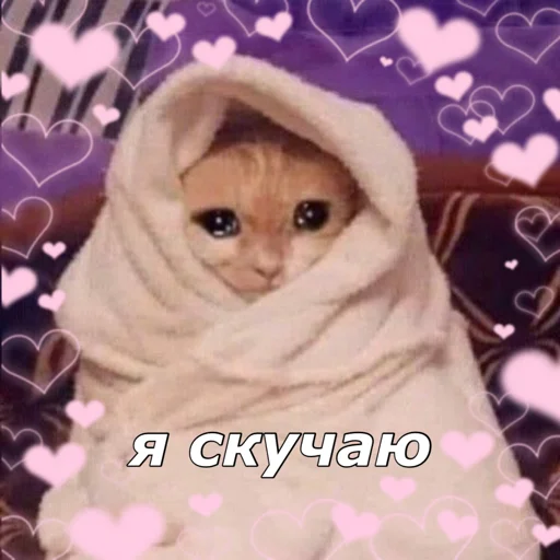 Sticker котятки - 5