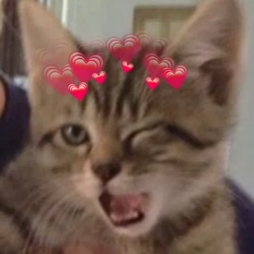 Sticker котятки - 4