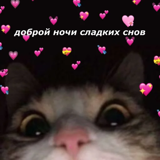 Sticker котятки - 3