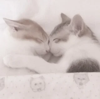 Sticker ꒰ китики ꒱ @svalkablin ! - 10