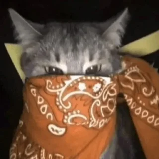 Sticker cats ❤️ - 9