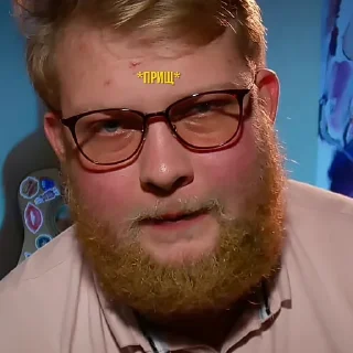 Стикер Кіт Василь - 9