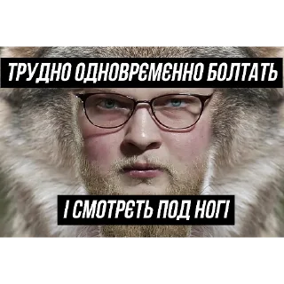 Стикер Кіт Василь - 1