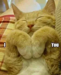 Sticker koteki @sekstick - 4