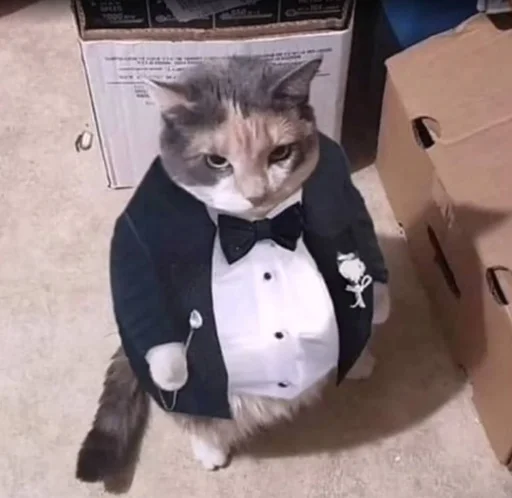 Стикер @kitygifs - 4