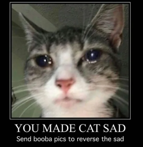 Стикер @kitygifs - 2