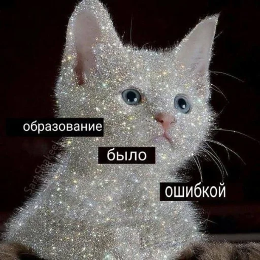 Стикер @kitygifs - 1