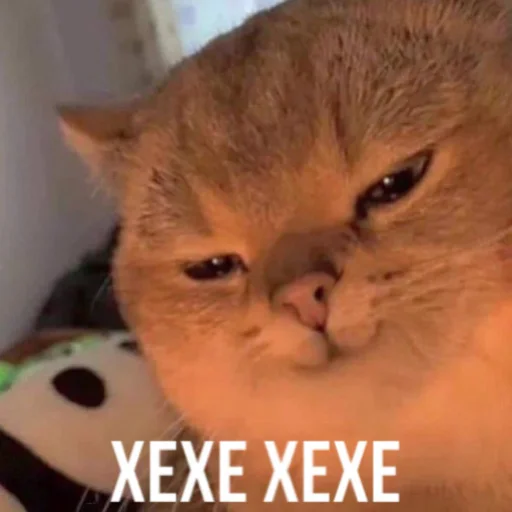 Стикер kivisup - 1