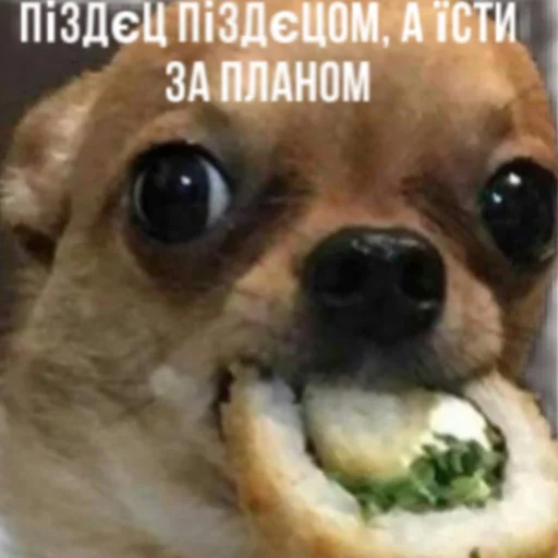 Стикер Bitch - 11