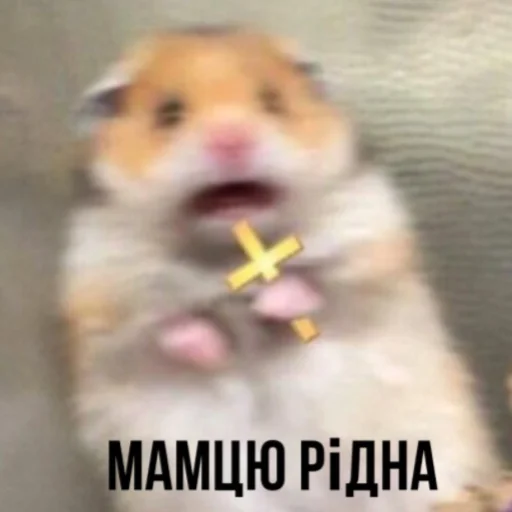 Стикер Bitch - 10