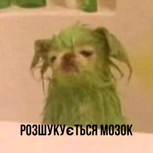 Стикер Bitch - 7