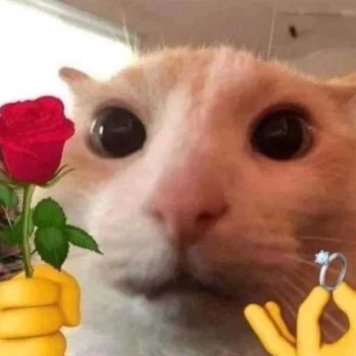 Стикер Bitch - 6