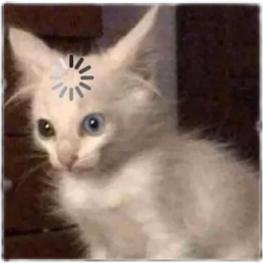 Стикер Bitch - 4