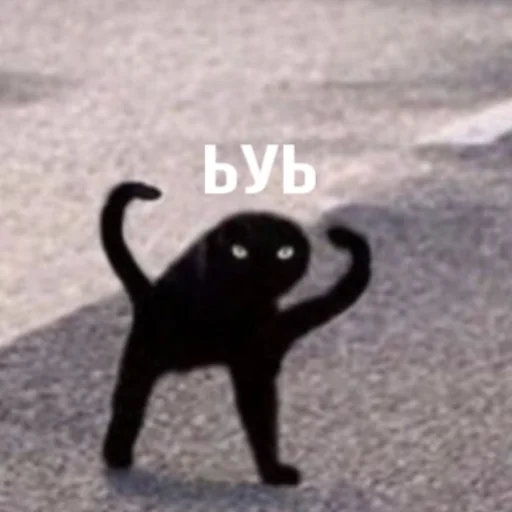 Стикер Bitch - 3