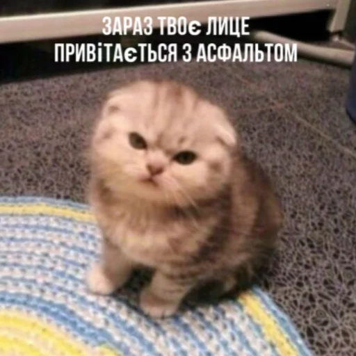 Стикер Bitch - 1