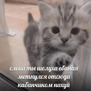 Стикер залупа кизнули - 5