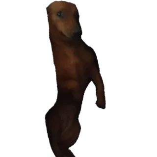 Стикер собака - 1