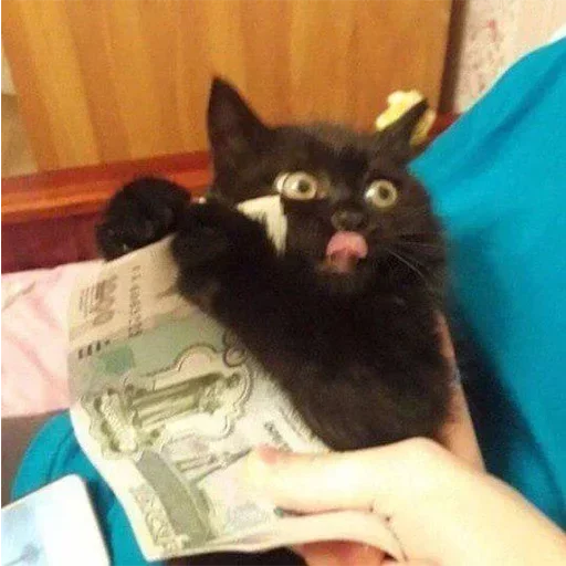 Sticker kjyBiWTjRPqFBy_by_stickers_stealer_bot - 1